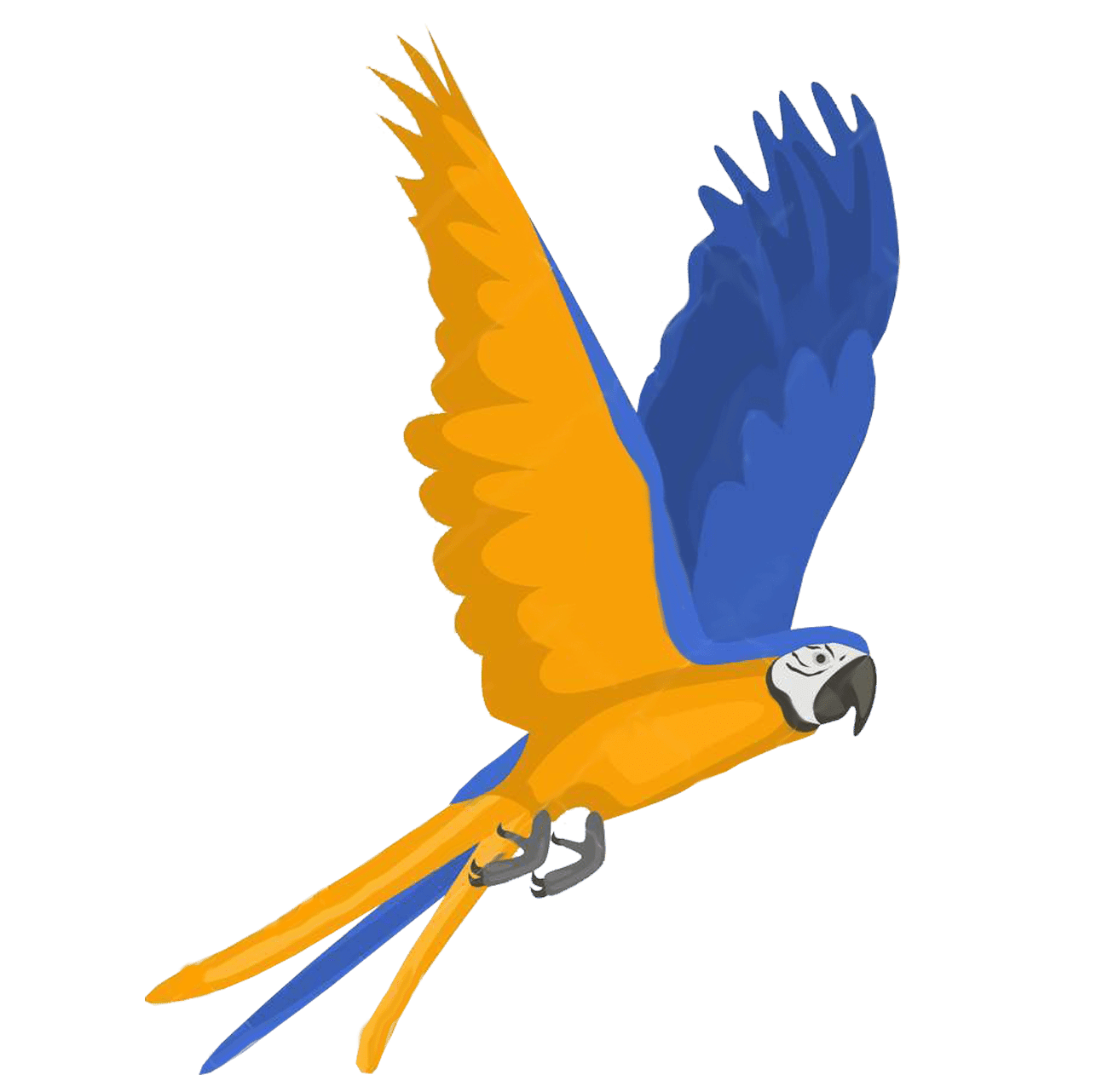 Macaw Parrots